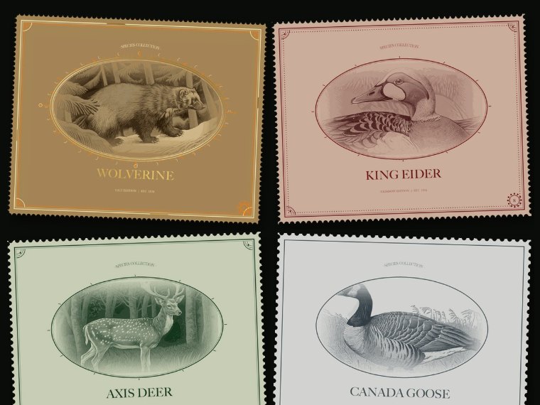 Collectible species stamps for wolverine, king eider, axis deer and Canada goose
